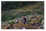Descending Mt Speke * 1536 x 1024 * (642KB)